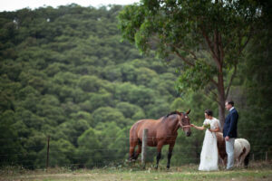 One couple feeding a horse – Brisbane Wedding Photographer
