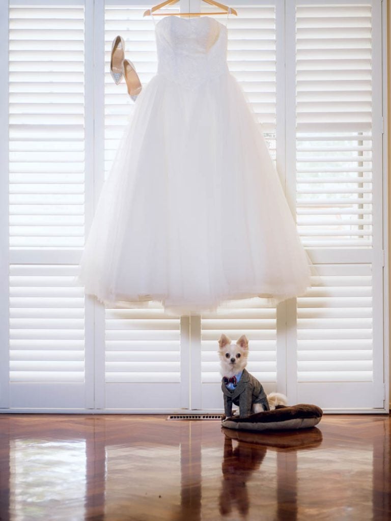 goldcoast wedding photographer Sunshine coast wedding photographer