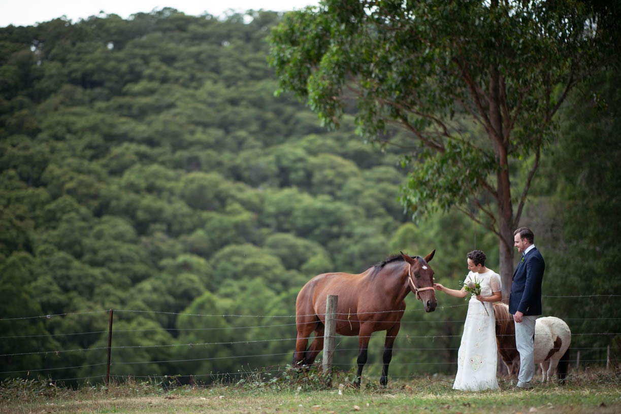 Sunshine coast wedding brisbane wedding photographer photographer