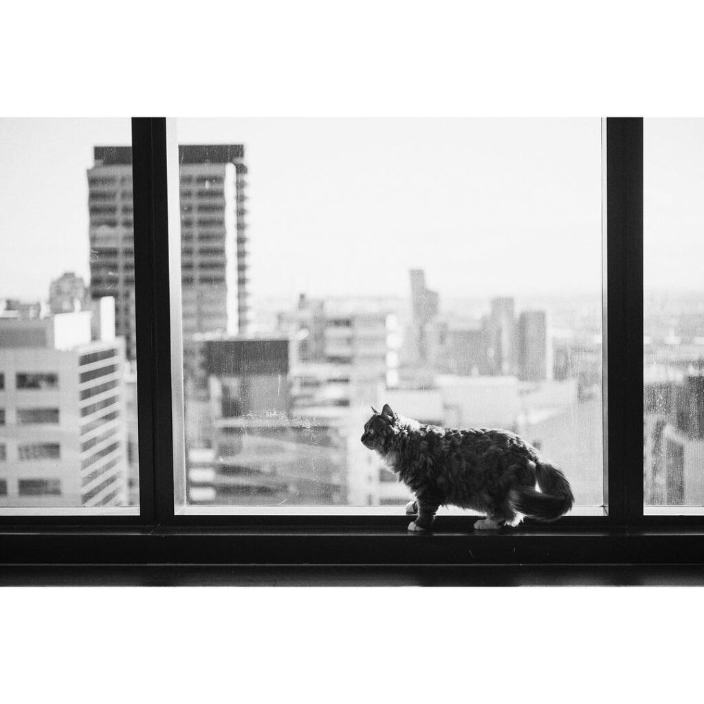 Brisbane wedding photography