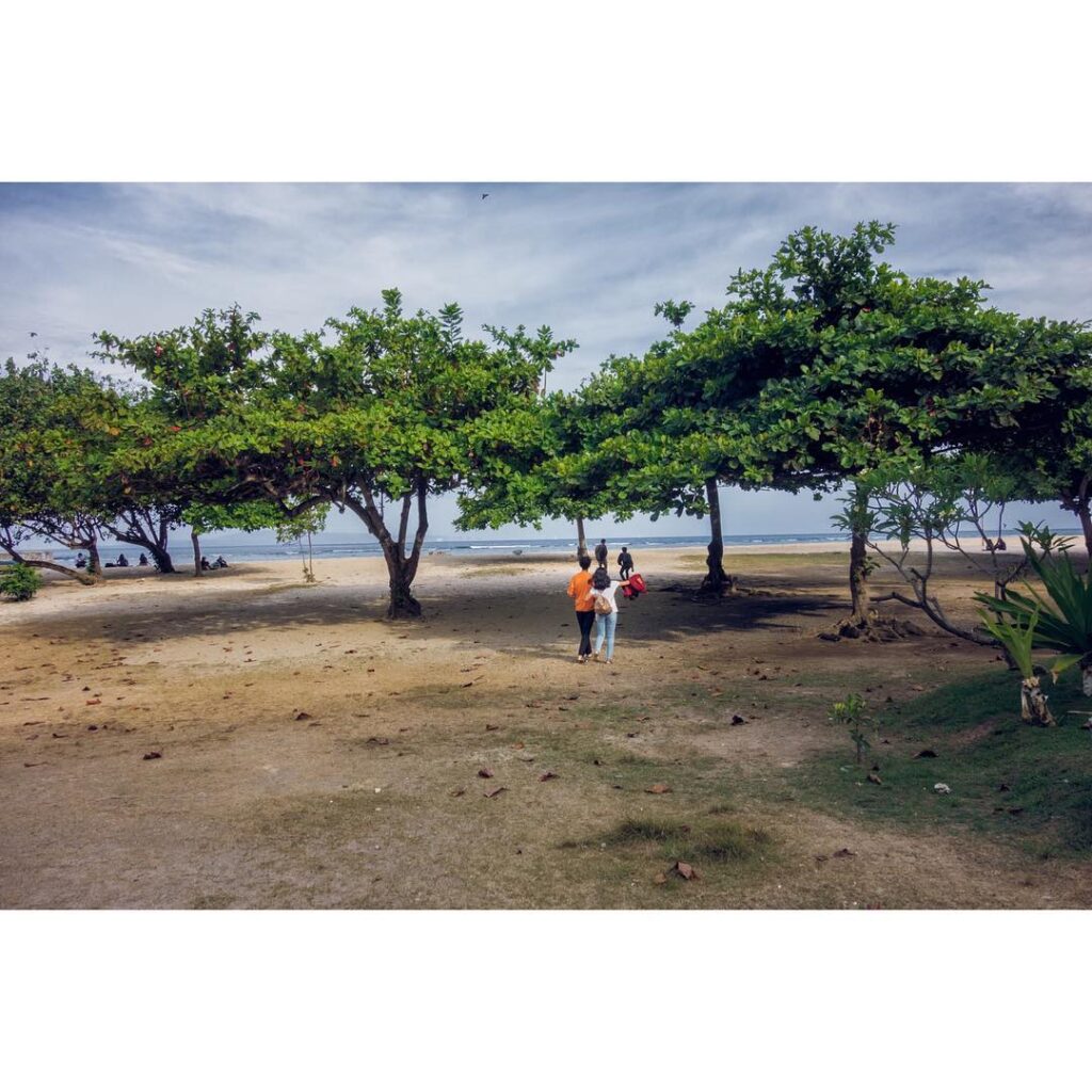 Sunshine coast wedding brisbane wedding photographer photographer