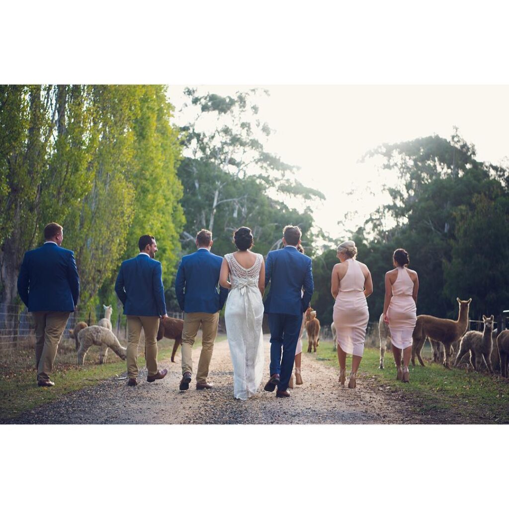 Brisbane wedding goldcoast wedding photographer photography